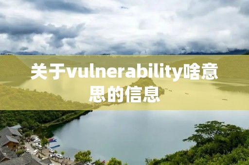 关于vulnerability啥意思的信息 关于vulnerability啥意思的信息