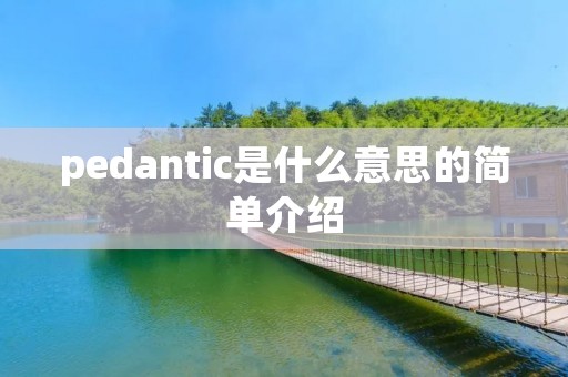 pedantic是什么意思的简单介绍