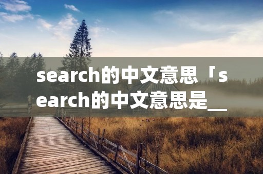 search的中文意思「search的中文意思是_____」