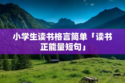 小学生读书格言简单「读书正能量短句」