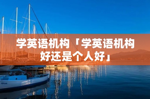 学英语机构「学英语机构好还是个人好」 学英语机构「学英语机构好还是个人好」
