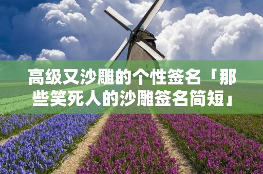 高级又沙雕的个性签名「那些笑死人的沙雕签名简短」