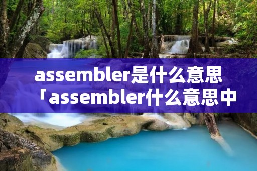 assembler是什么意思「assembler什么意思中文」