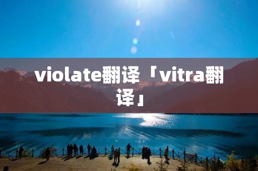 violate翻译「vitra翻译」