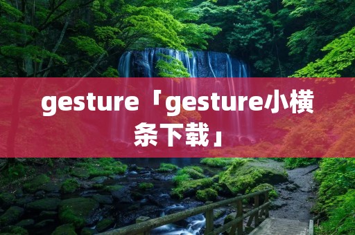 gesture「gesture小横条下载」
