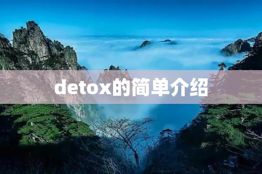 detox的简单介绍