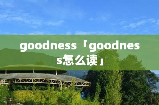 goodness「goodness怎么读」