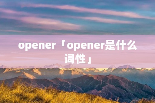 opener「opener是什么词性」