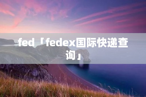 fed「fedex国际快递查询」