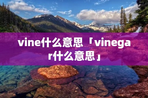 vine什么意思「vinegar什么意思」