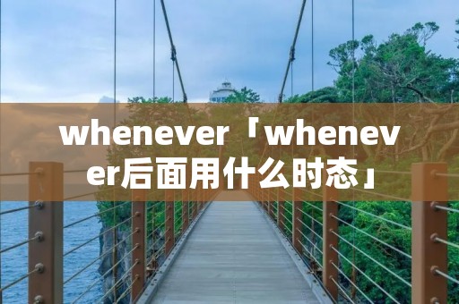 whenever「whenever后面用什么时态」