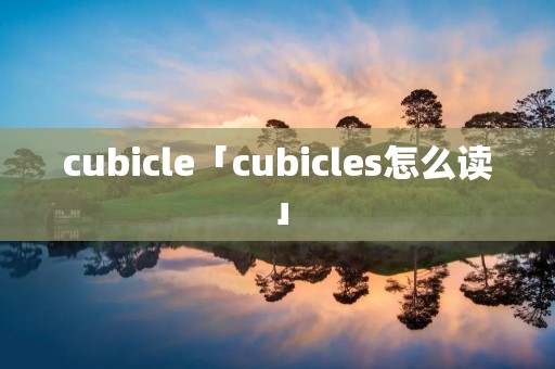 cubicle「cubicles怎么读」