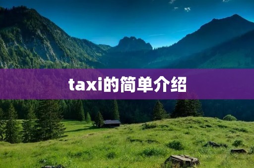 taxi的简单介绍 taxi的简单介绍