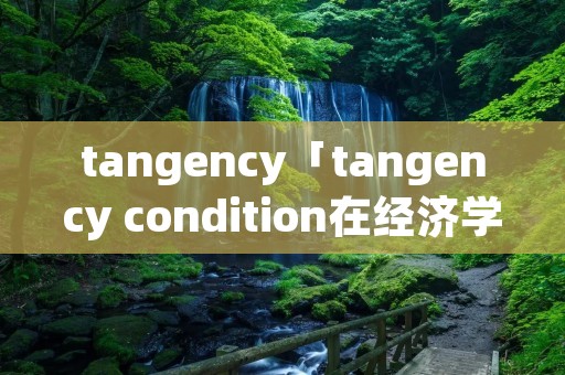 tangency「tangency condition在经济学中」
