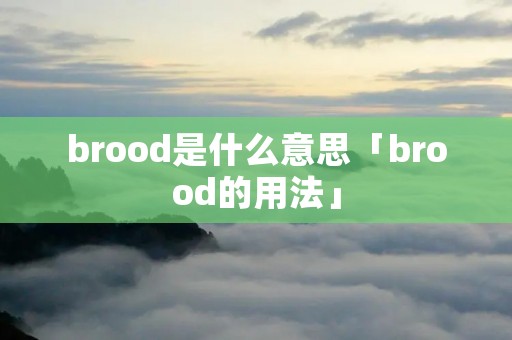 brood是什么意思「brood的用法」