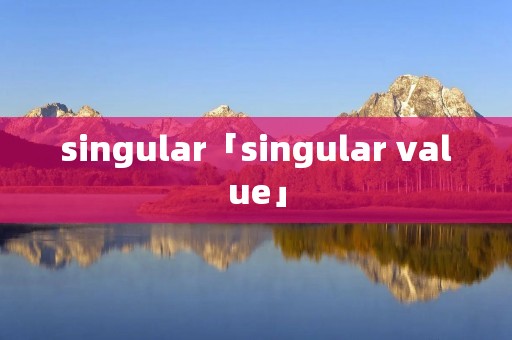 singular「singular value」 singular「singular value」