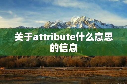 关于attribute什么意思的信息
