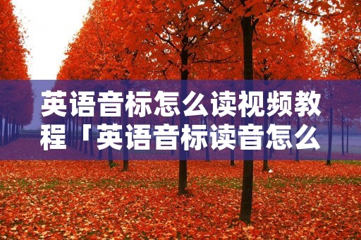 英语音标怎么读视频教程「英语音标读音怎么读」