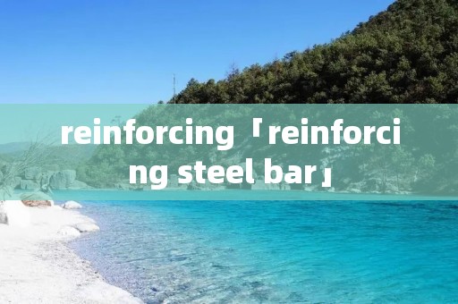 reinforcing「reinforcing steel bar」 reinforcing「reinforcing steel bar」