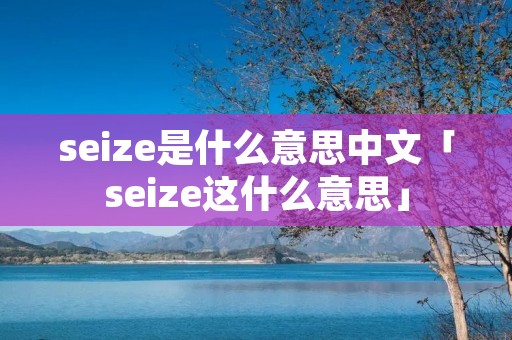 seize是什么意思中文「seize这什么意思」