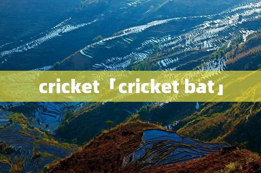 cricket「cricket bat」