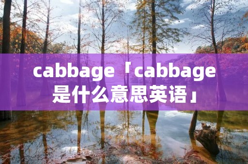 cabbage「cabbage是什么意思英语」