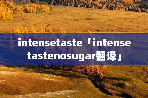 intensetaste「intensetastenosugar翻译」