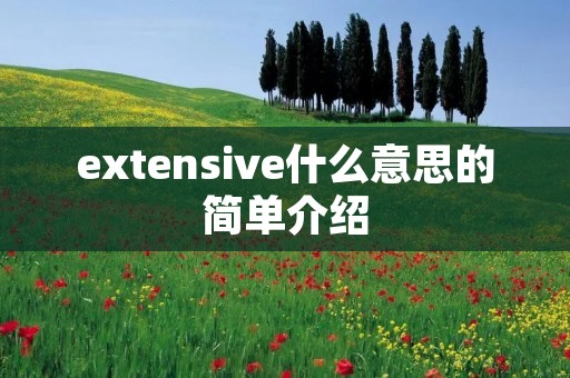 extensive什么意思的简单介绍 extensive什么意思的简单介绍