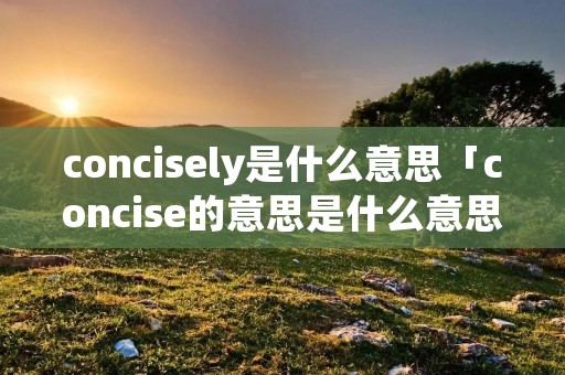 concisely是什么意思「concise的意思是什么意思」