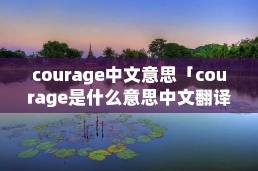 courage中文意思「courage是什么意思中文翻译怎么读」