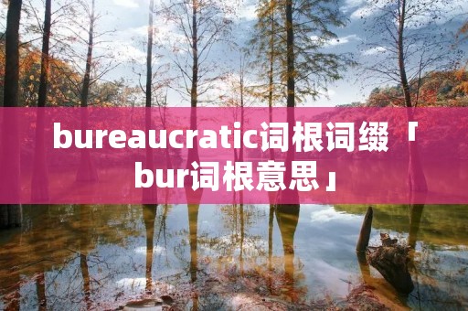 bureaucratic词根词缀「bur词根意思」