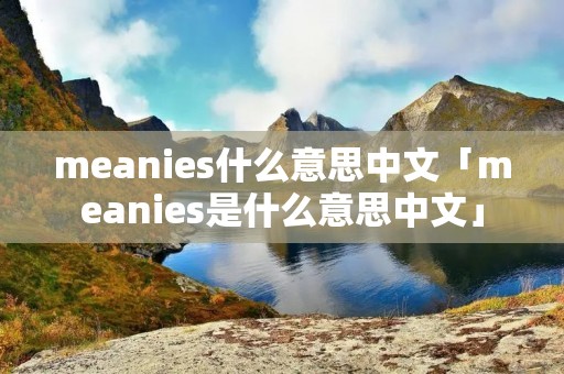 meanies什么意思中文「meanies是什么意思中文」