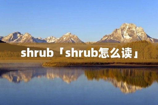 shrub「shrub怎么读」 shrub「shrub怎么读」