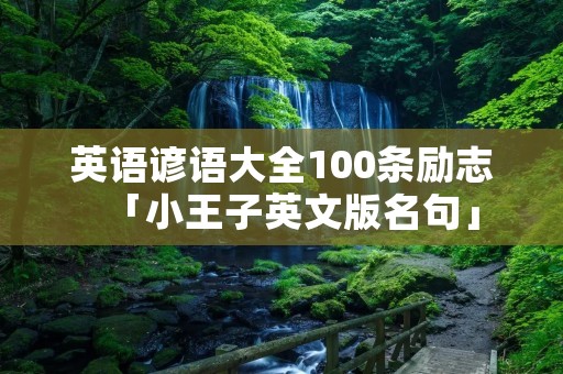 英语谚语大全100条励志「小王子英文版名句」