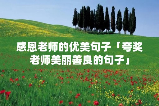 感恩老师的优美句子「夸奖老师美丽善良的句子」