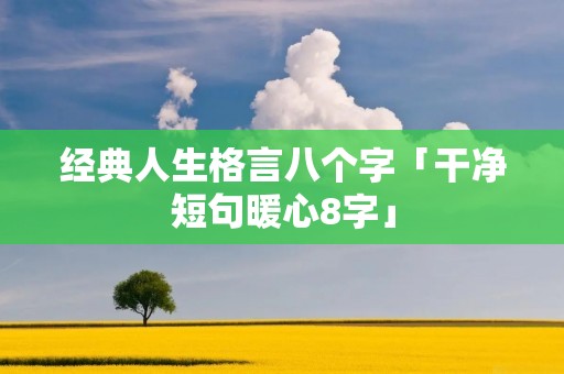 经典人生格言八个字「干净短句暖心8字」