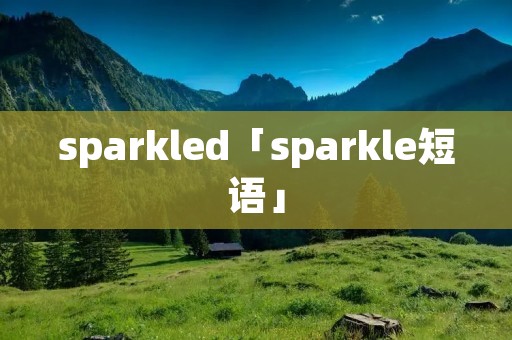 sparkled「sparkle短语」