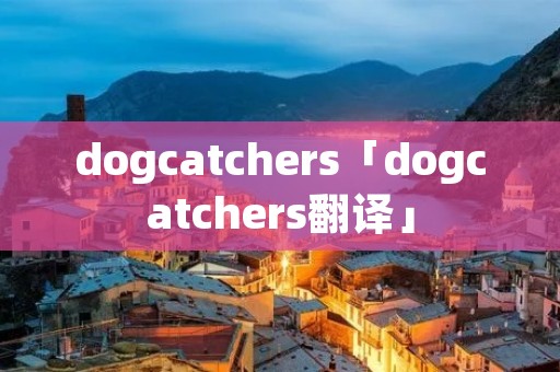 dogcatchers「dogcatchers翻译」