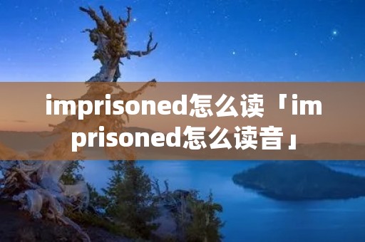 imprisoned怎么读「imprisoned怎么读音」