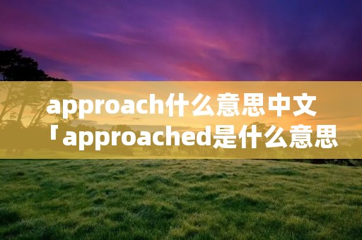 approach什么意思中文「approached是什么意思中文」
