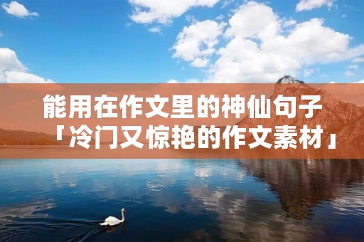 能用在作文里的神仙句子「冷门又惊艳的作文素材」