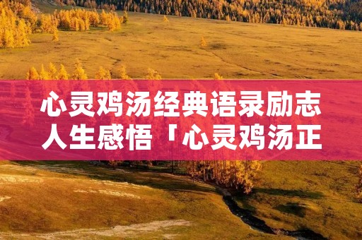 心灵鸡汤经典语录励志人生感悟「心灵鸡汤正能量短文」