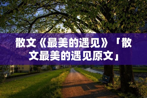 散文《最美的遇见》「散文最美的遇见原文」 散文《最美的遇见》「散文最美的遇见原文」