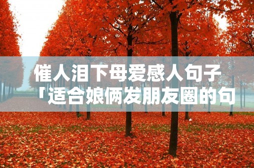 催人泪下母爱感人句子「适合娘俩发朋友圈的句子」