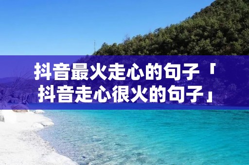 抖音最火走心的句子「抖音走心很火的句子」