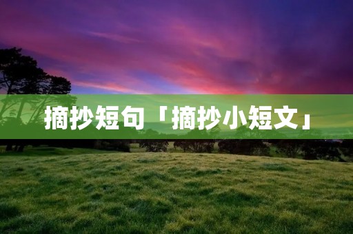 摘抄短句「摘抄小短文」
