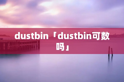 dustbin「dustbin可数吗」