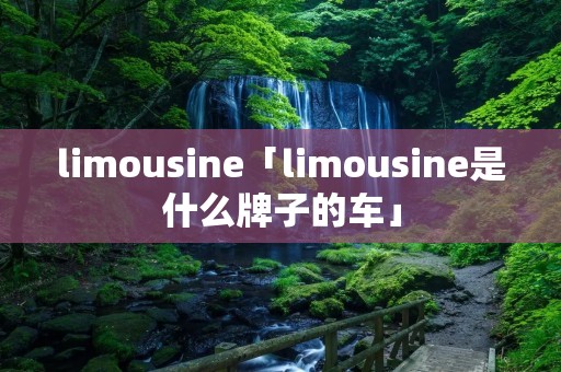 limousine「limousine是什么牌子的车」