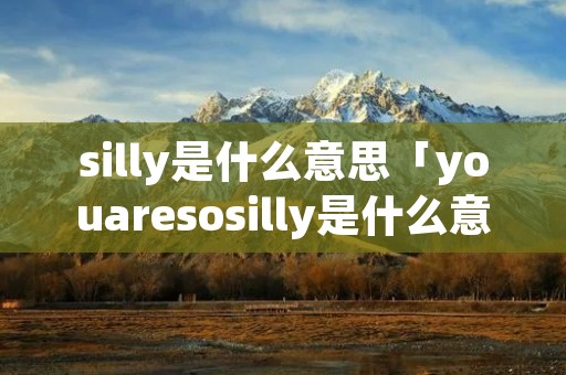 silly是什么意思「youaresosilly是什么意思」