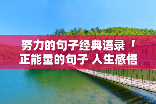 努力的句子经典语录「正能量的句子 人生感悟 努力工作」